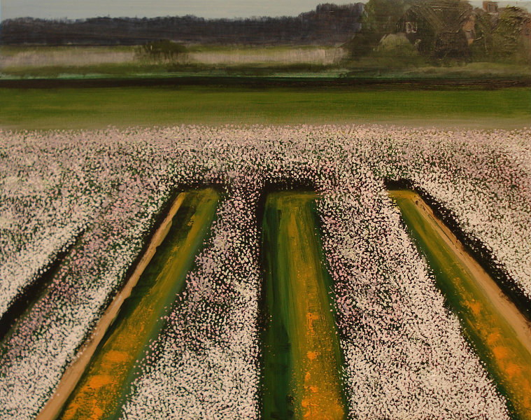 betuwe-border